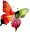 schmetterling_klein.png